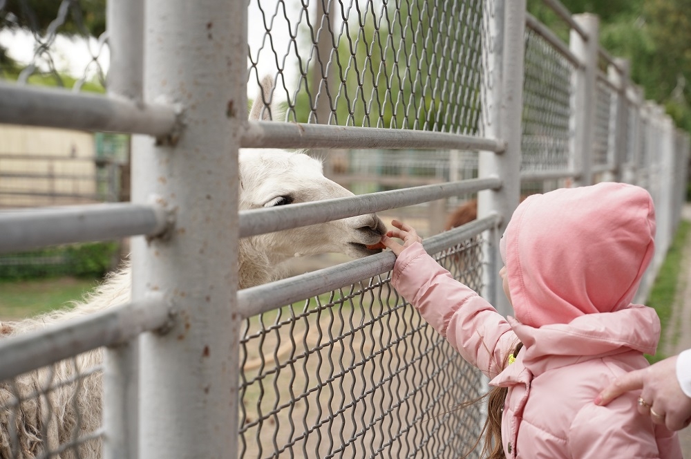 У Подільському зоопарку у Вінниці провели екскурсію для дітей-переселенців