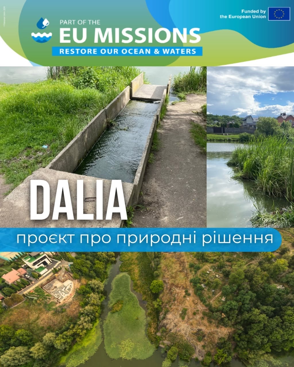 Проєкт DALIA у Вінниці: річку Вишня та озеро планують відновити за досвідом Сербії