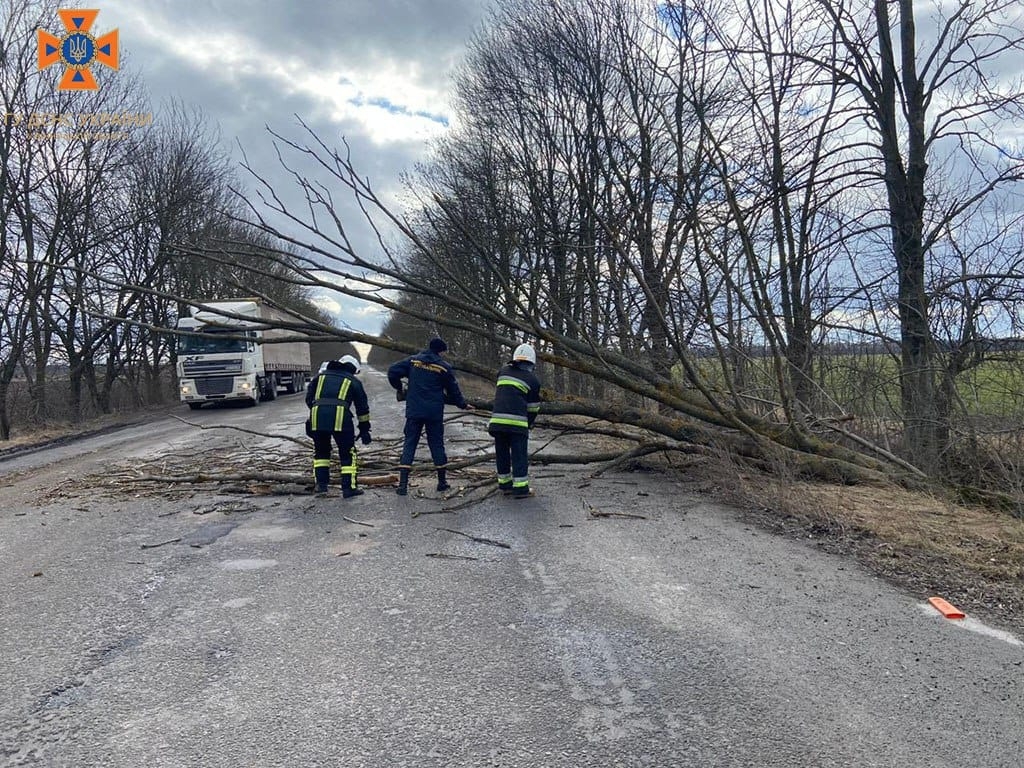18 лютого на Вінниччині через сильний вітер на дороги попадали дерева