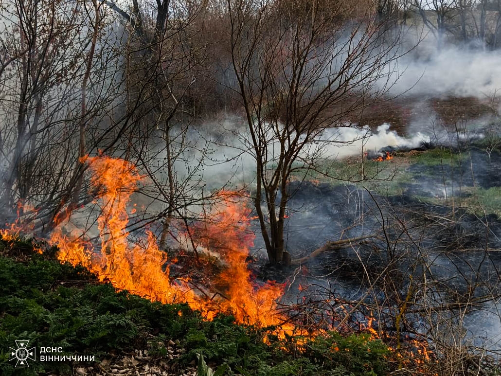 У Вінницьких Хуторах горіло на території приватного домогосподарства