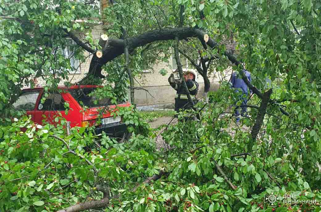 У Крижополі вітер повалив дерево на легковий автомобіль