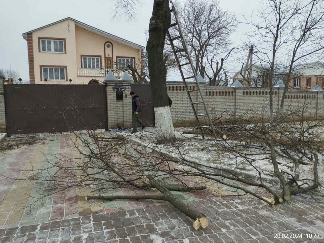 У Вінниці чоловік заплатить штраф за обрізку дерев у приватному секторі