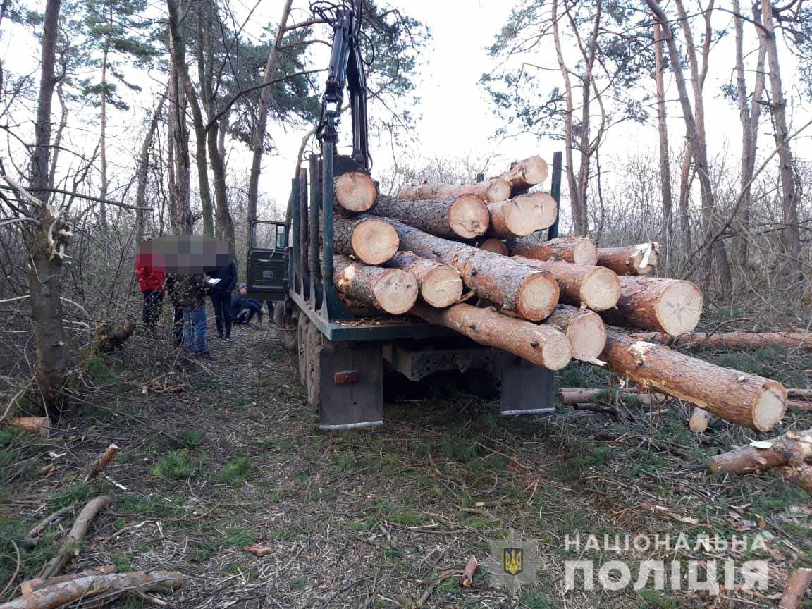 На Вінниччині посадовців одного з лісгоспів підозрюють у незаконній вирубці лісів