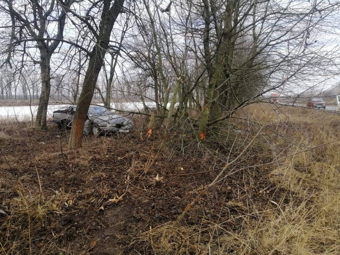 У Тульчинському районі Mazda протаранила дерево - пасажирка у лікарні