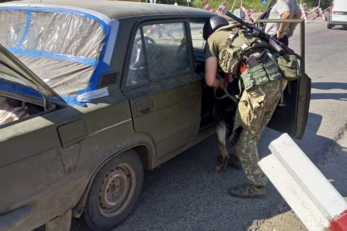 Шукають зброю та вибухівку як службові собаки вінницької бригади допомагають на війні