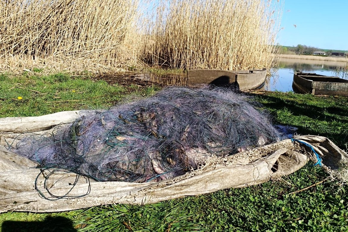 На Вінниччині виявили 17 фактів незаконного вилову риби