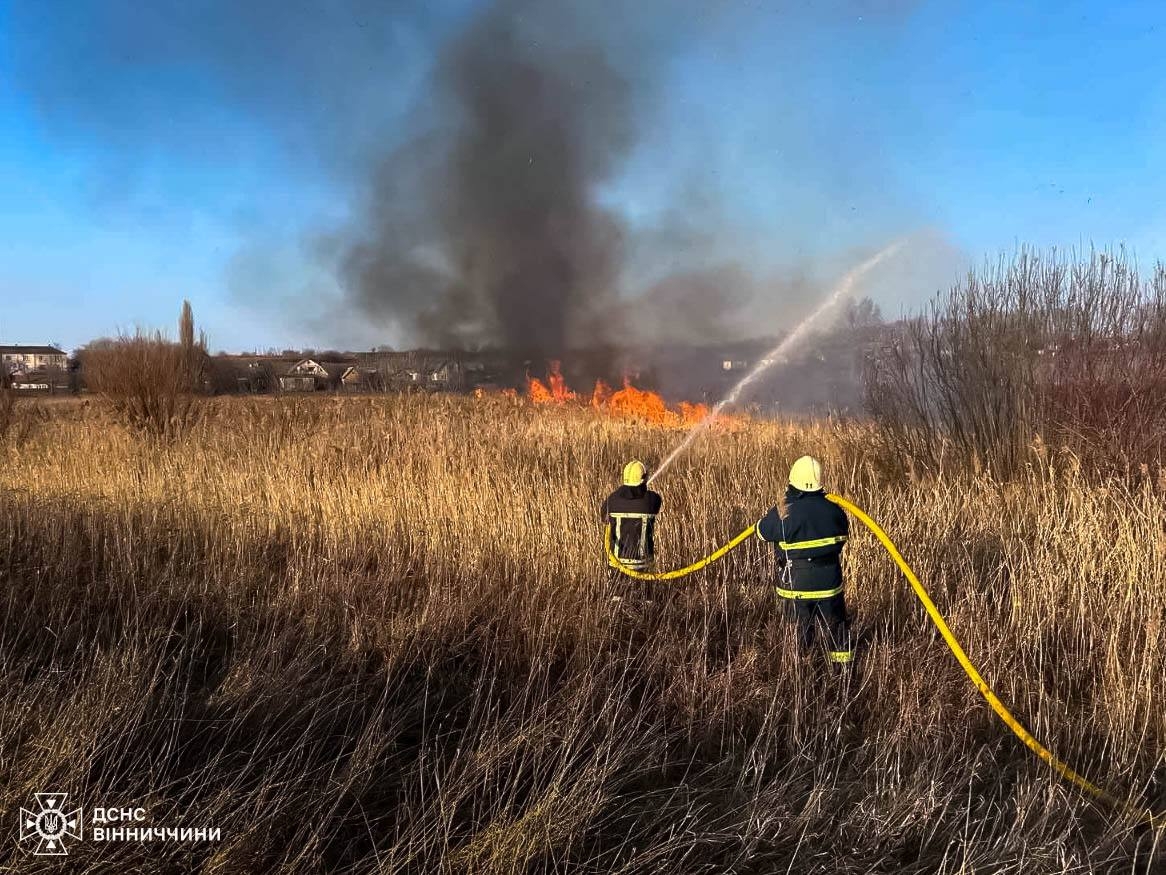 На Вінниччині сталося понад пів сотні пожеж через паління трави