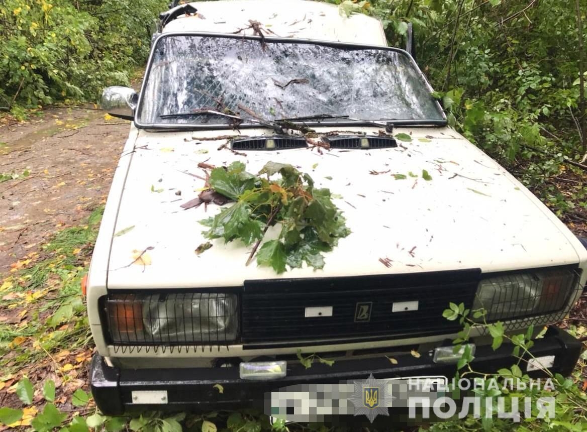 У Барській громаді дерево впало на авто - водій загинув