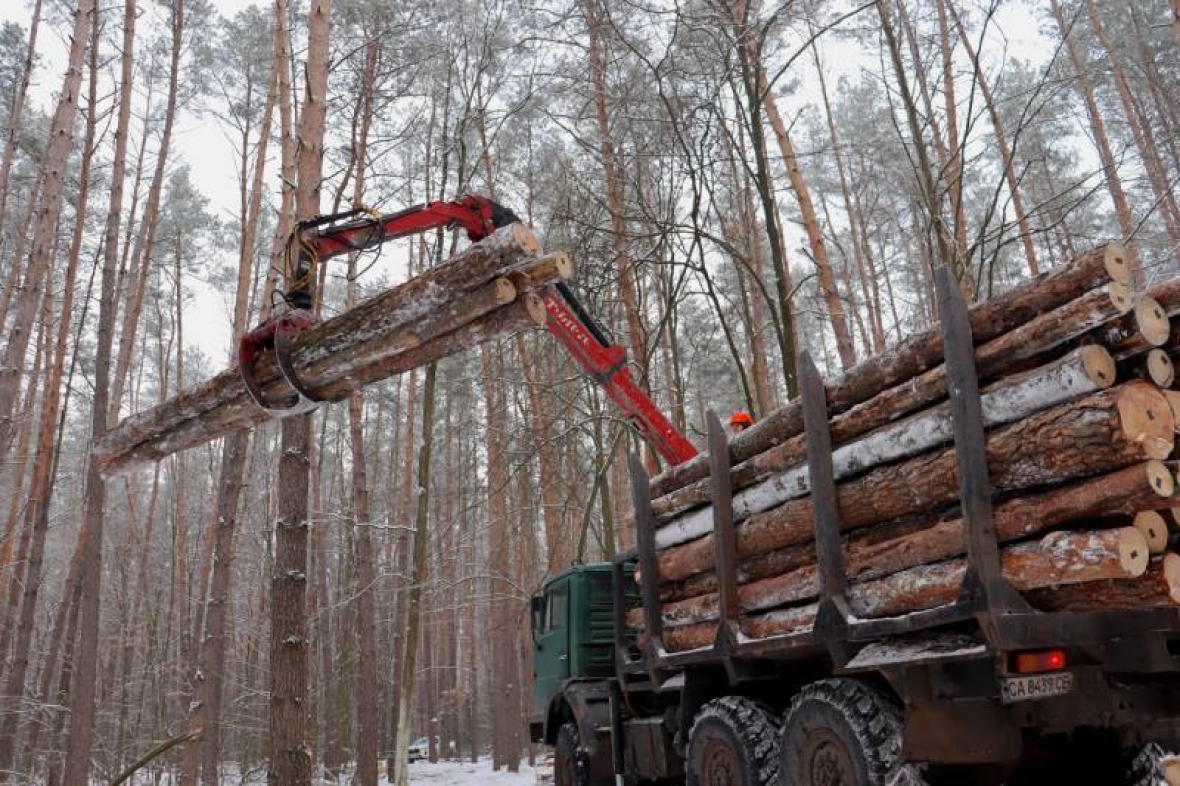Директор філії “Центральний лісовий офіс” ДП “Ліси України” Володимир Касюхнич