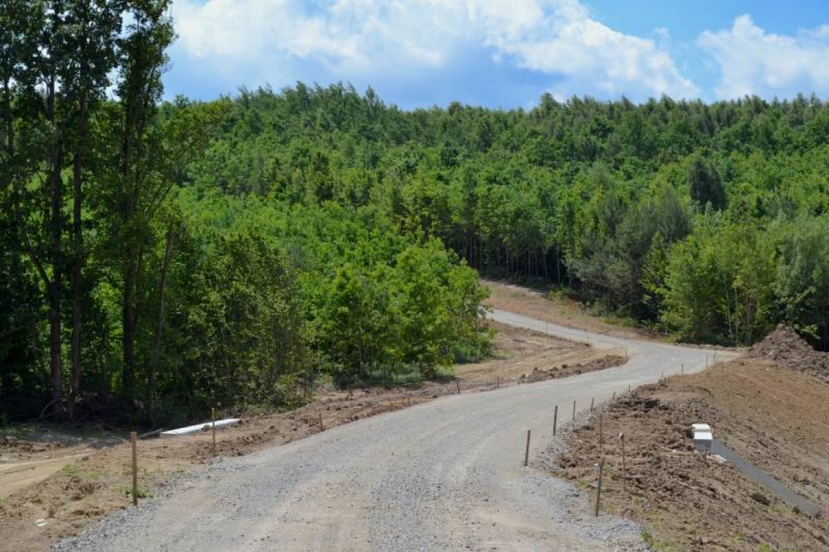 Директор філії “Центральний лісовий офіс” ДП “Ліси України” Володимир Касюхнич
