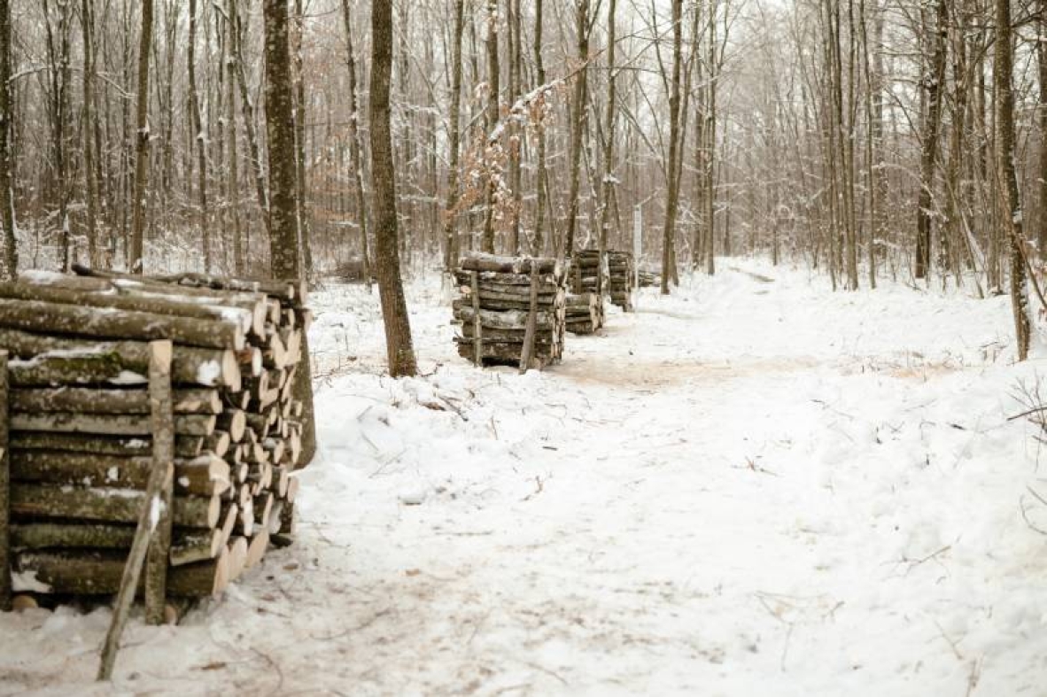 Директор філії “Центральний лісовий офіс” ДП “Ліси України” Володимир Касюхнич