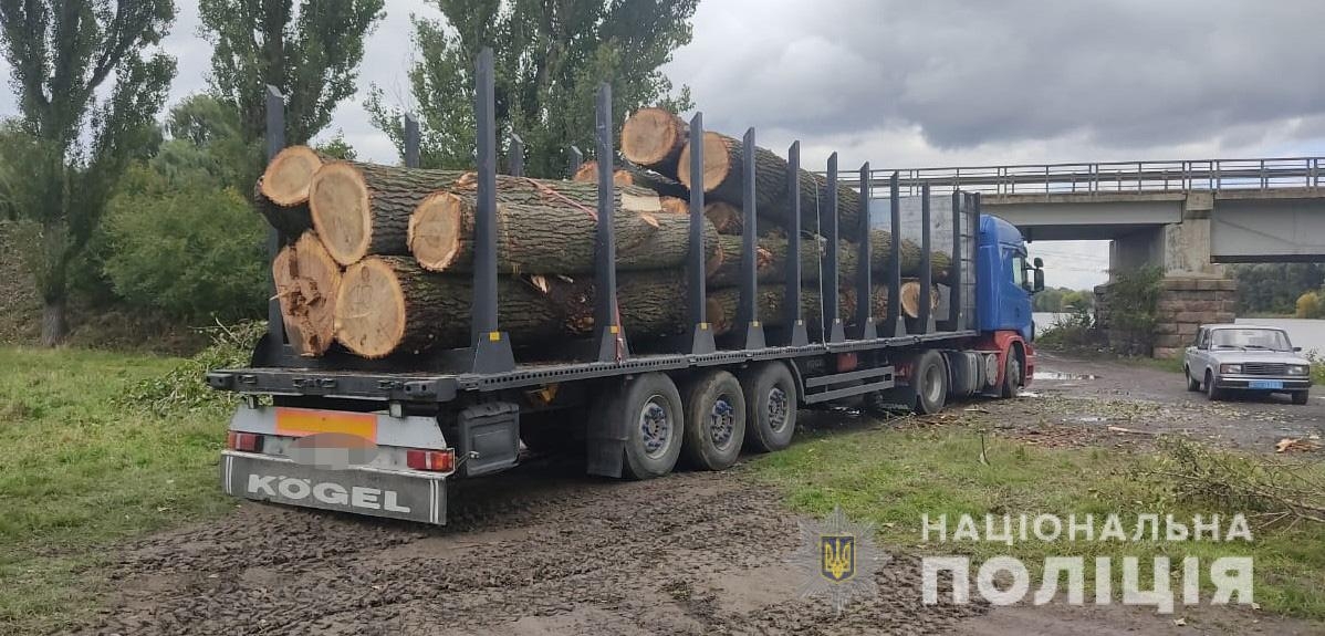В Тульчинському районі поліцейські припинили незаконну вирубку дерев