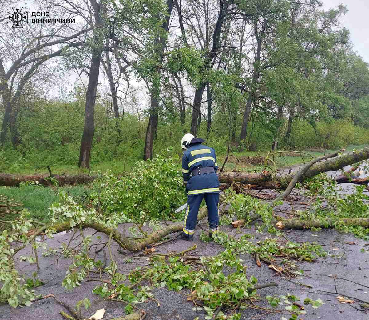 Вінницькі рятувальники виїжджали на виклики, що повʼязані з падінням дерев