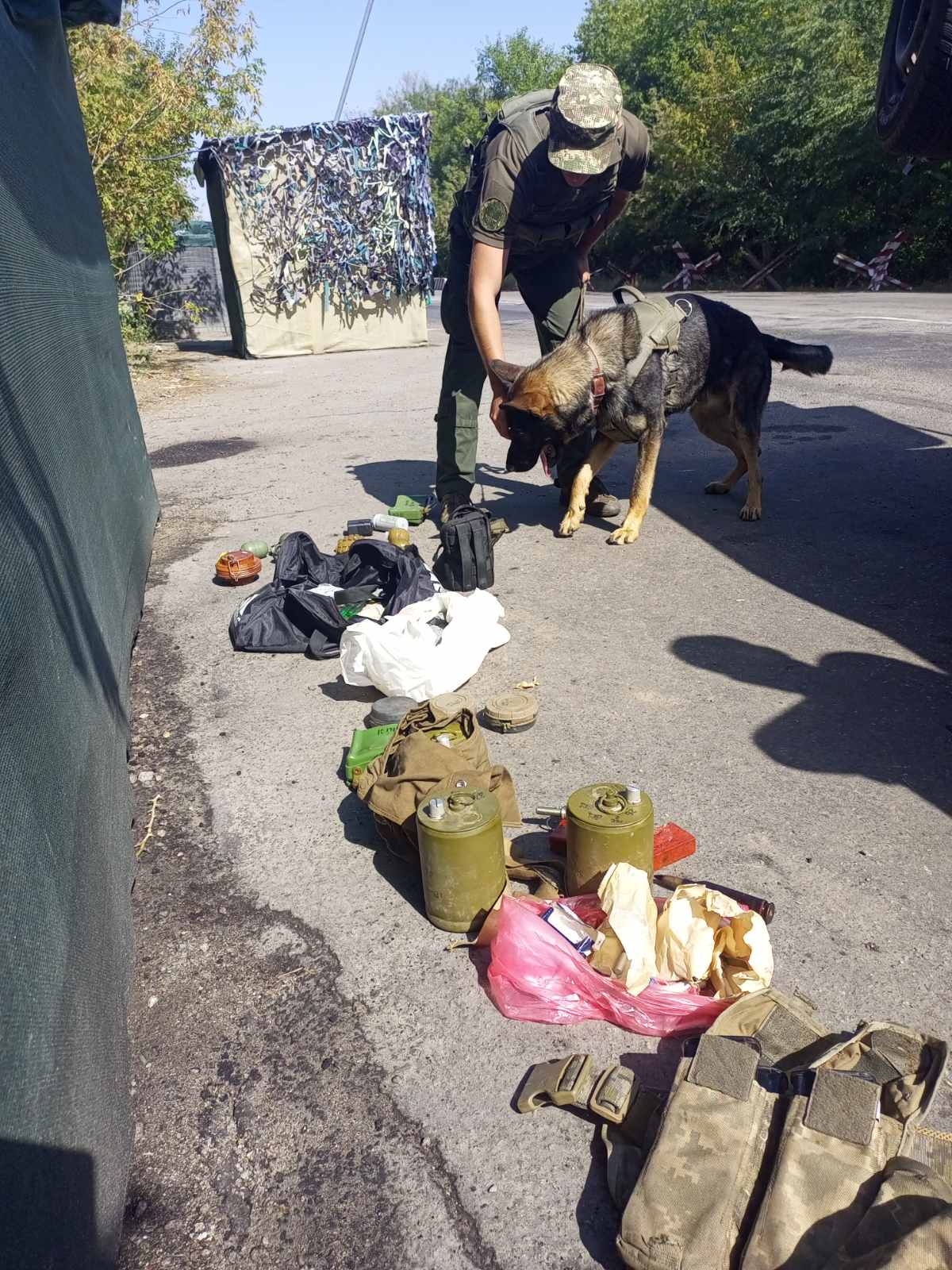 Шукають зброю та вибухівку як службові собаки вінницької бригади допомагають на війні