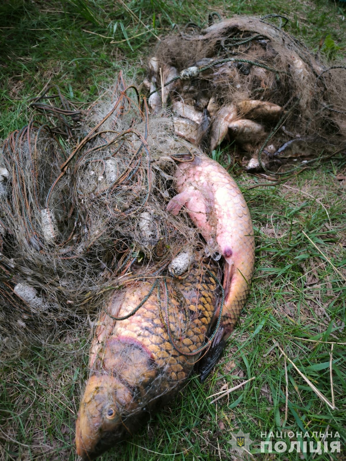 У Південному Бузі браконьєр виловлював рибу сітками