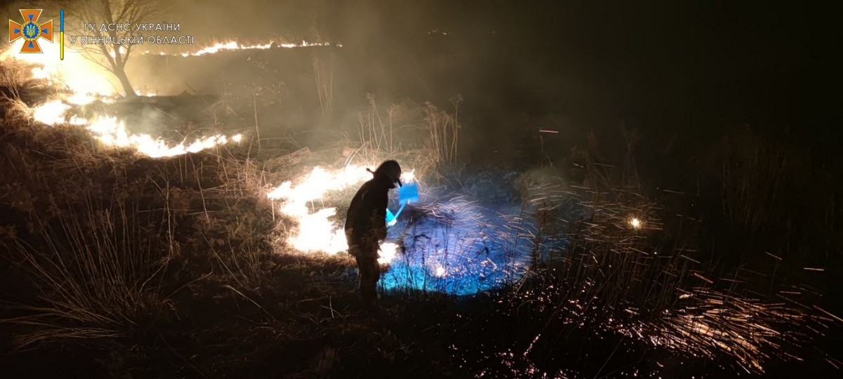 За добу на Вінниччині гасили понад десяток пожеж в екосистемах