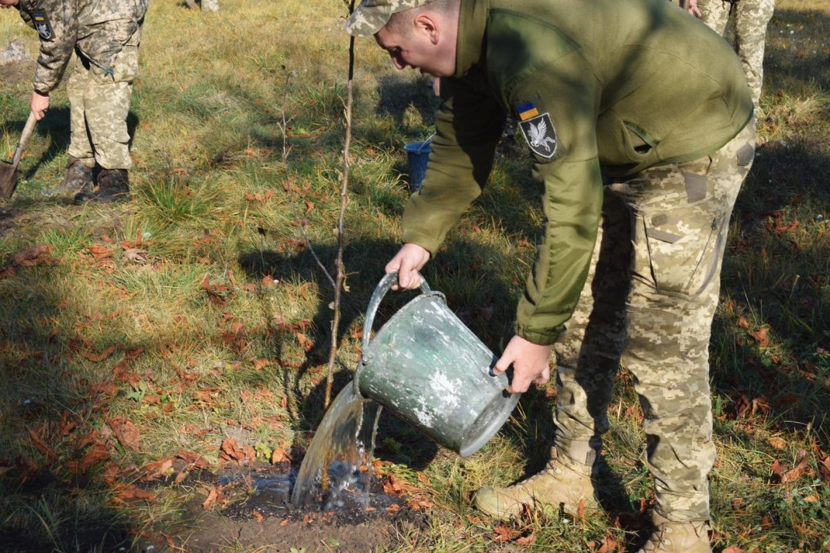 Побратими висадили яблуневий сад у пам’ять про вінницького пілота