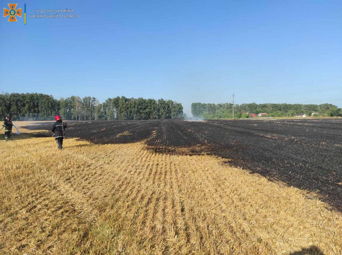 На Вінниччині вогонь знищив 11 гектарів сухої трави