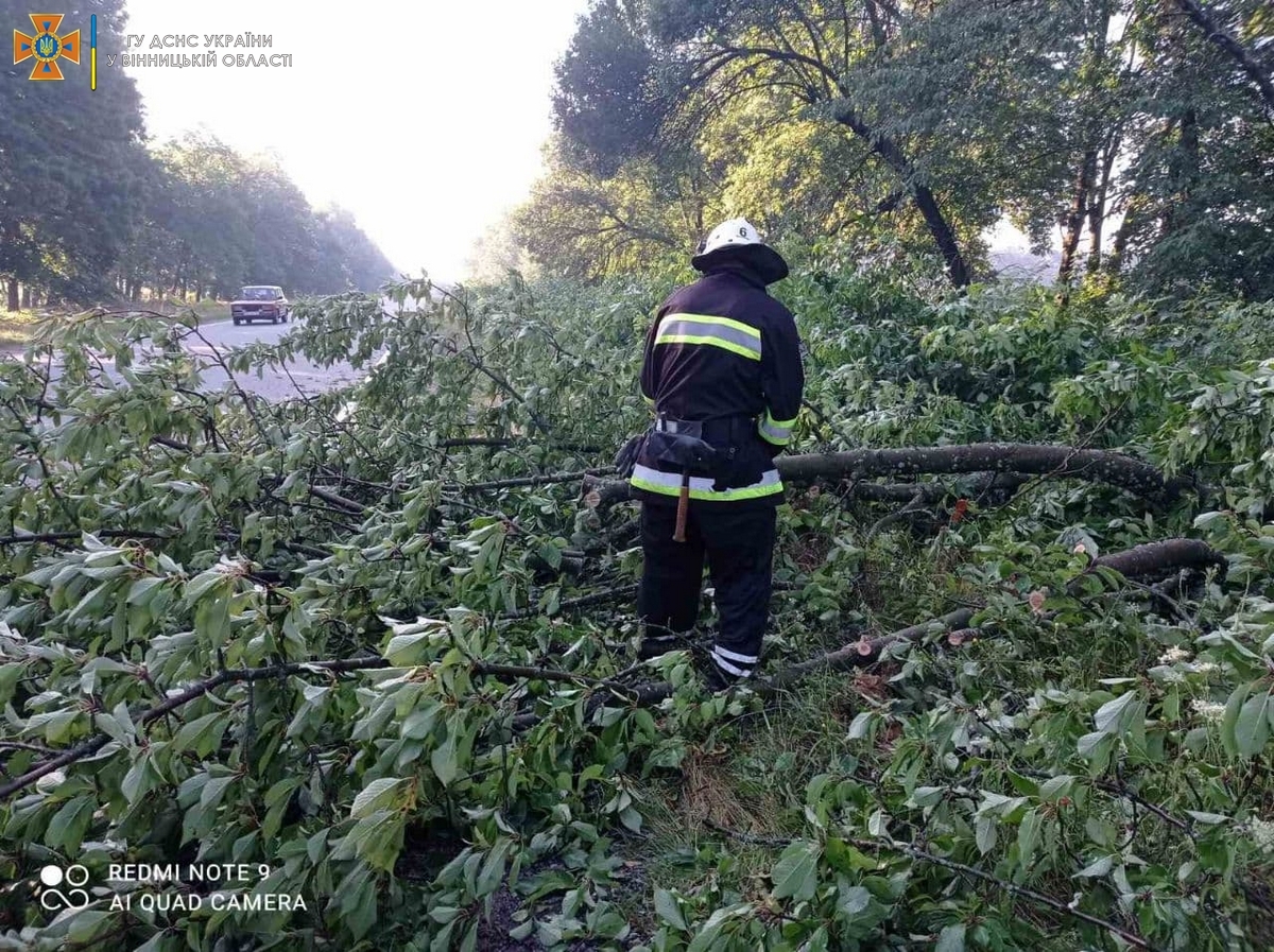 Минулої доби вітер повалив дерева на дороги в чотирьох районах Вінниччини