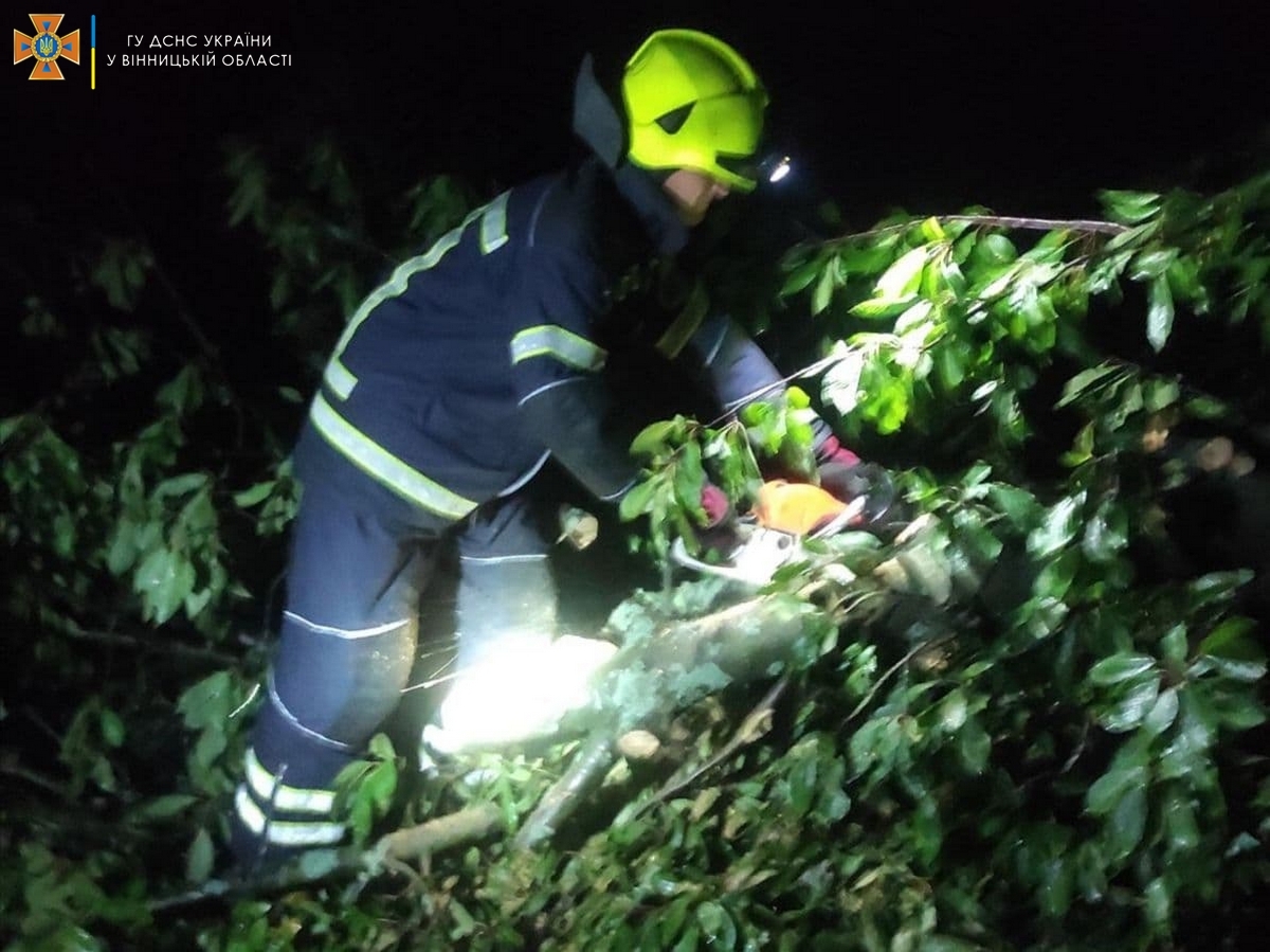 Минулої доби вітер повалив дерева на дороги в чотирьох районах Вінниччини