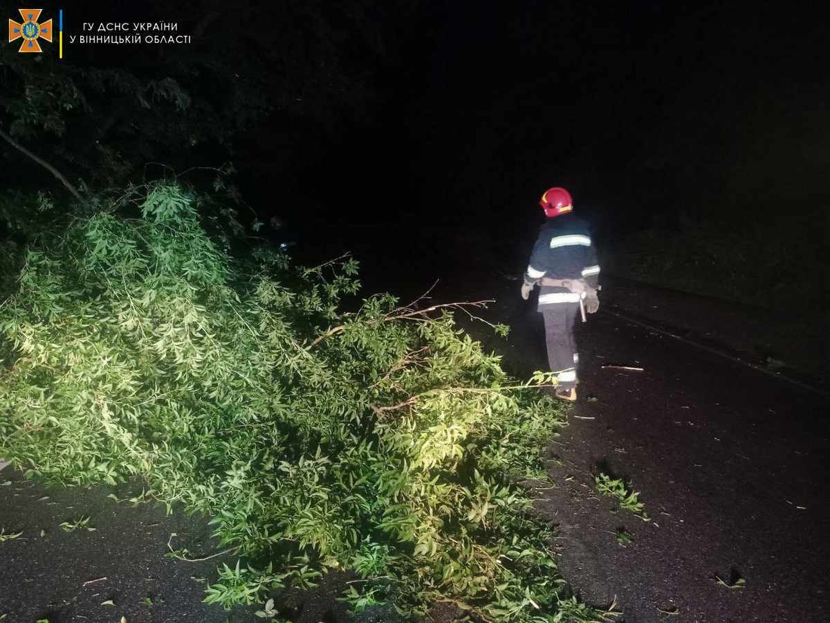 Негода на Вінниччині: рятувальники за ніч прибрали з доріг десятки повалених дерев