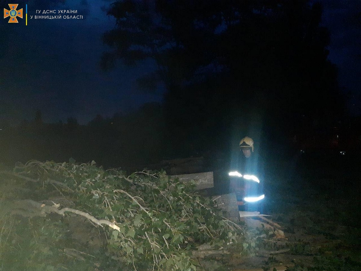 На Вінниччині шквальний вітер додав роботи рятувальникам: прибирали повалені дерева та рекламні щити