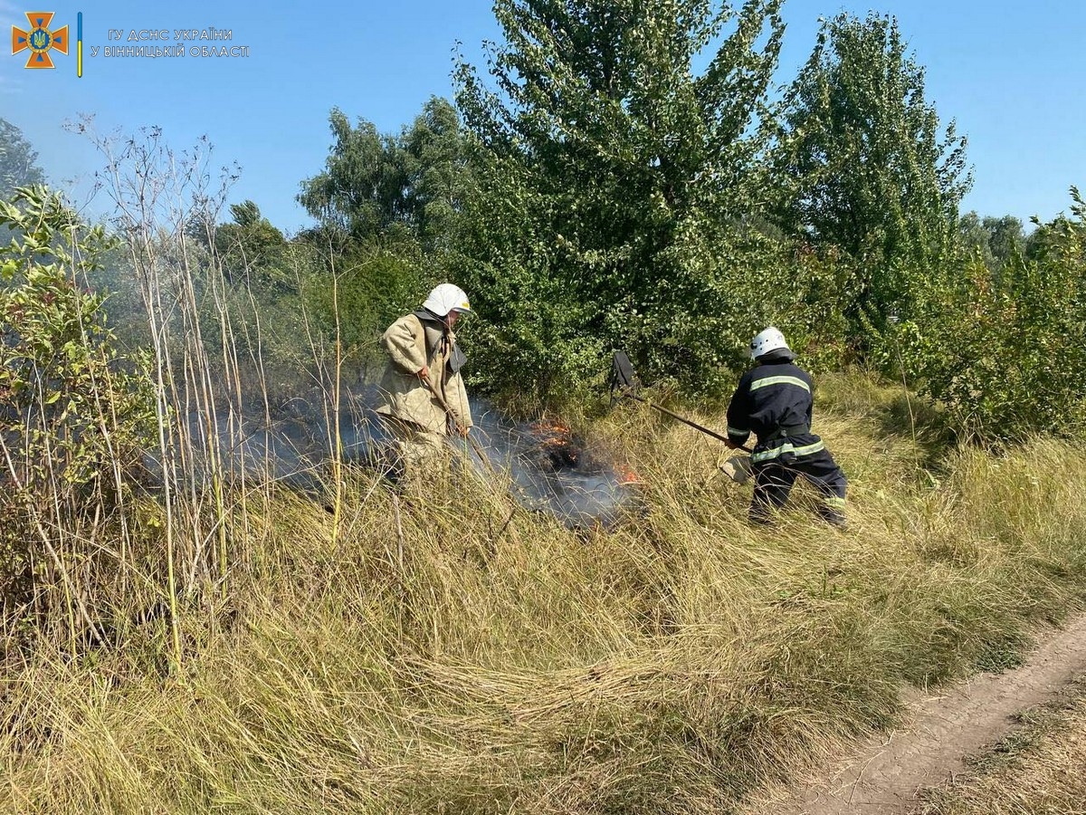 За добу рятувальники Вінниччини 7 разів виїжджали гасити пожежі в екосистемах