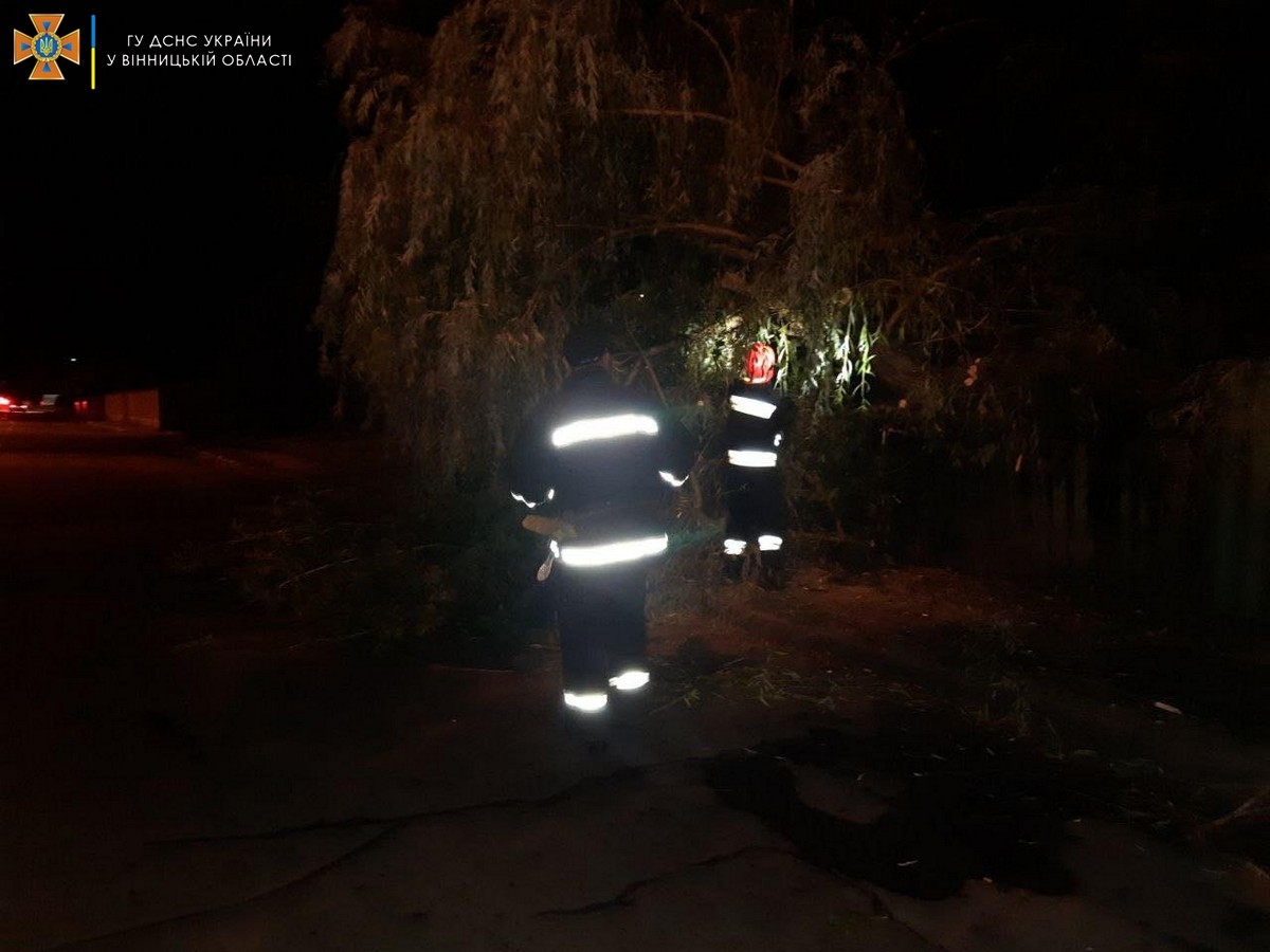 На Вінниччині шквальний вітер додав роботи рятувальникам: прибирали повалені дерева та рекламні щити