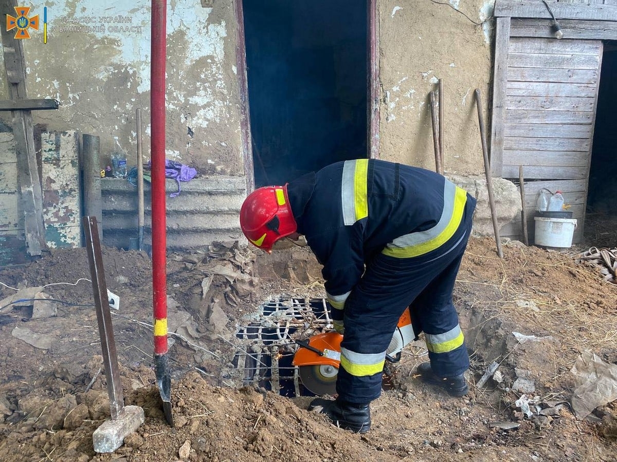 У Вінницькому районі рятувальники діставали з двометрового погребу кобилу