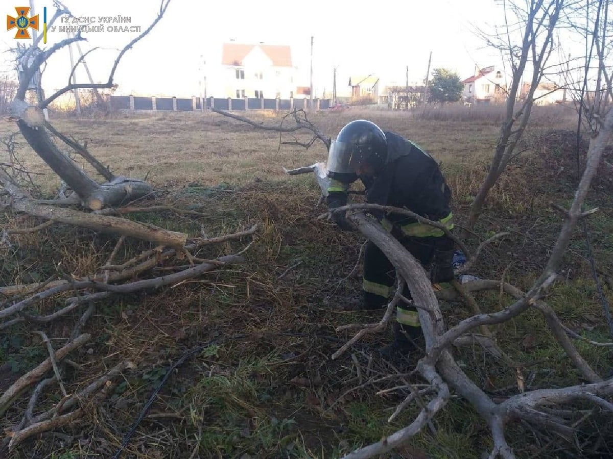 На Вінниччині рятувальники прибрали повалені вітром дерева з автошляхів.