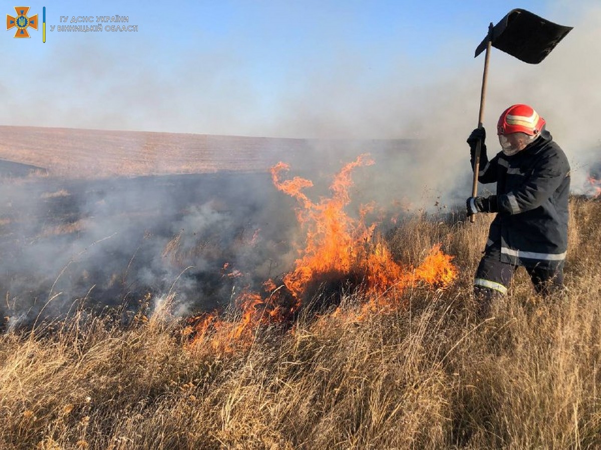 На Вінниччині за добу ліквідували десять пожеж в екосистемах