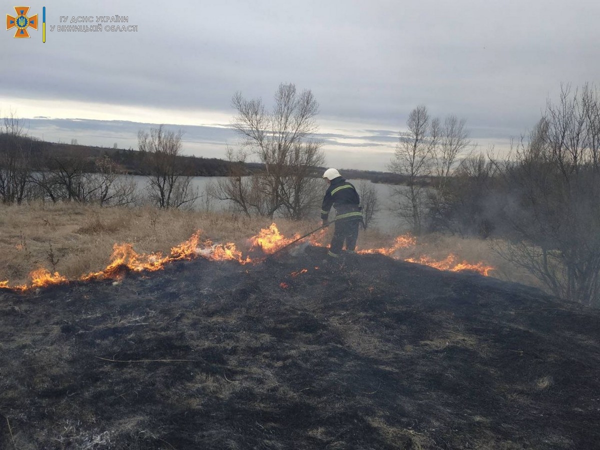 За добу на Вінниччині гасили понад десяток пожеж в екосистемах