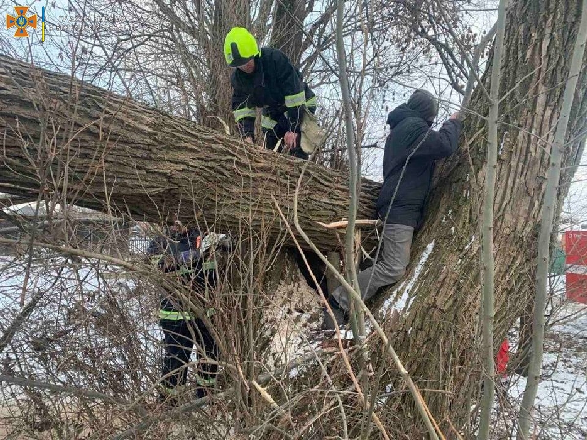 У Вороновицькій громаді рятували чоловіка, ногу якого затисло між стовбурами дерева
