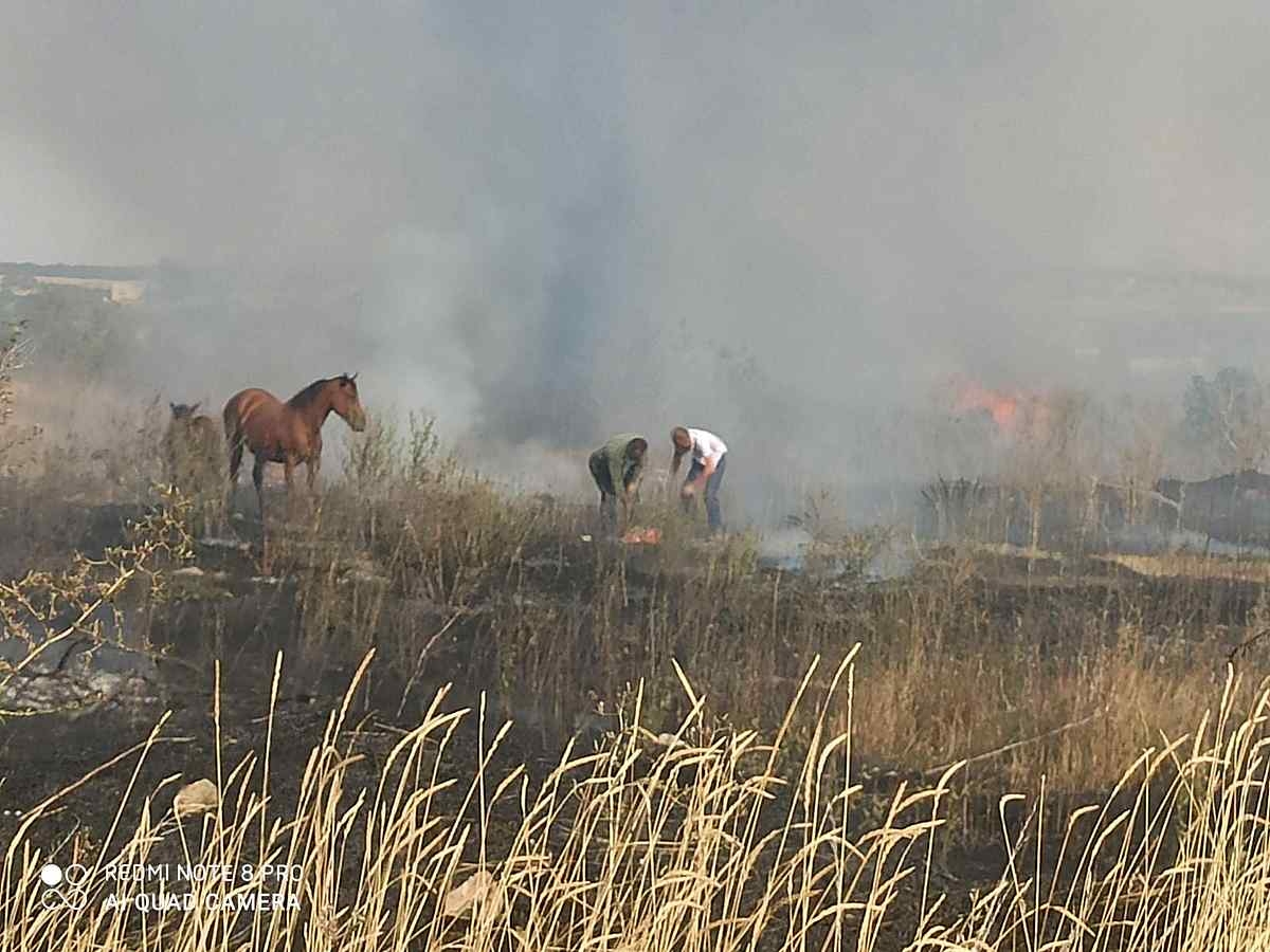 пожежу ліквідували і коні залишились живі. 
