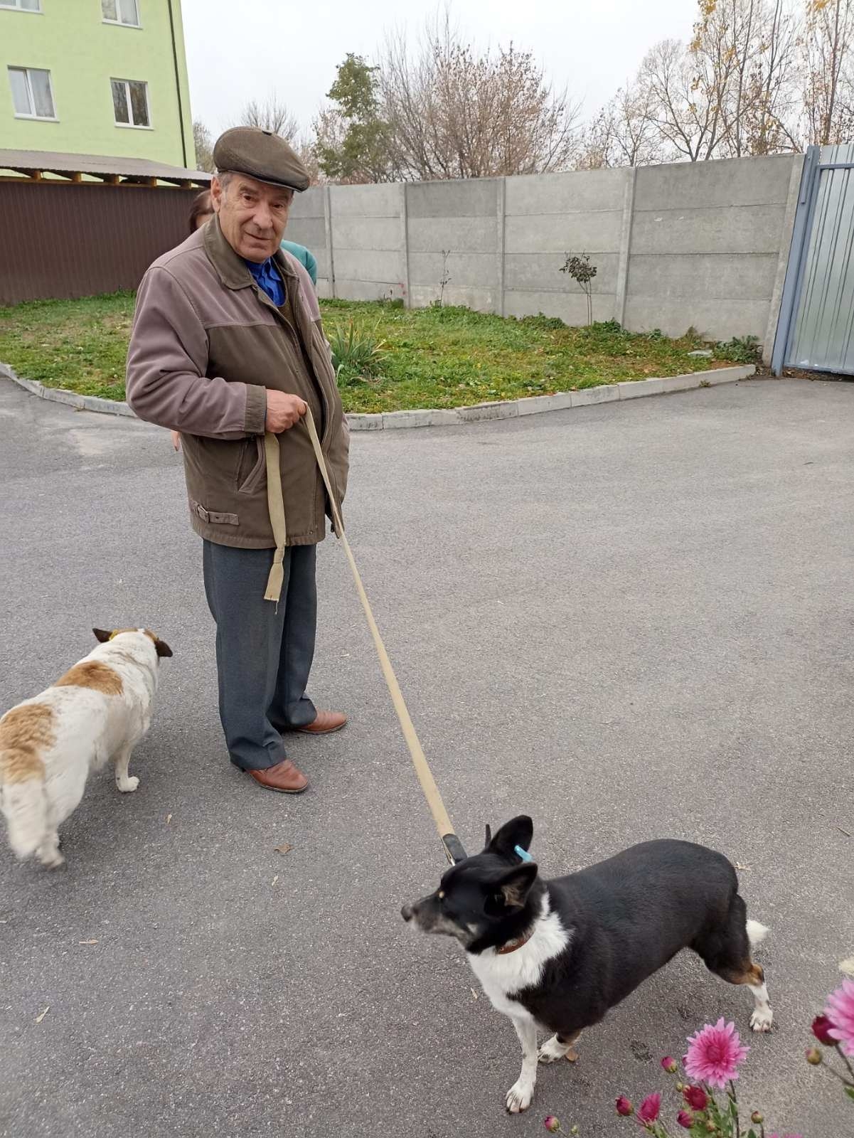 67 собачок з Вінницького муніципального притулку знайшли нові родини
