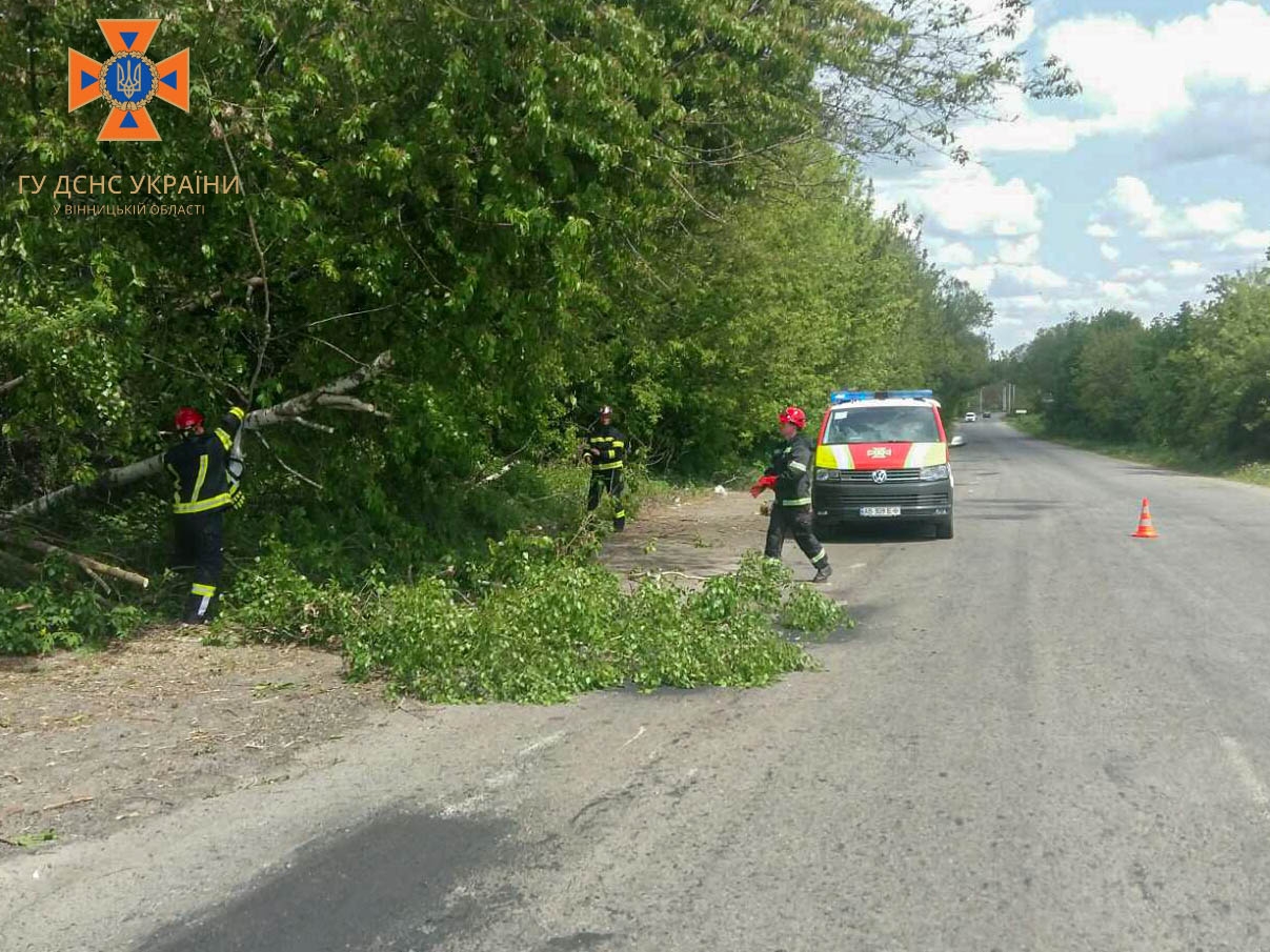 Поблизу села Мала Стадниця Вінницького району на трасу впало дерево