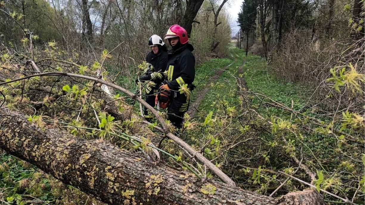 Понад 50 виїздів рятувальників за день: негода заблокувала дороги на Вінниччині