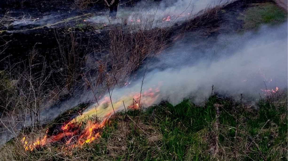 Сам собі рятувальник: на Вінниччині власник оселі власноруч загасив пожежу до приїзду вогнеборців