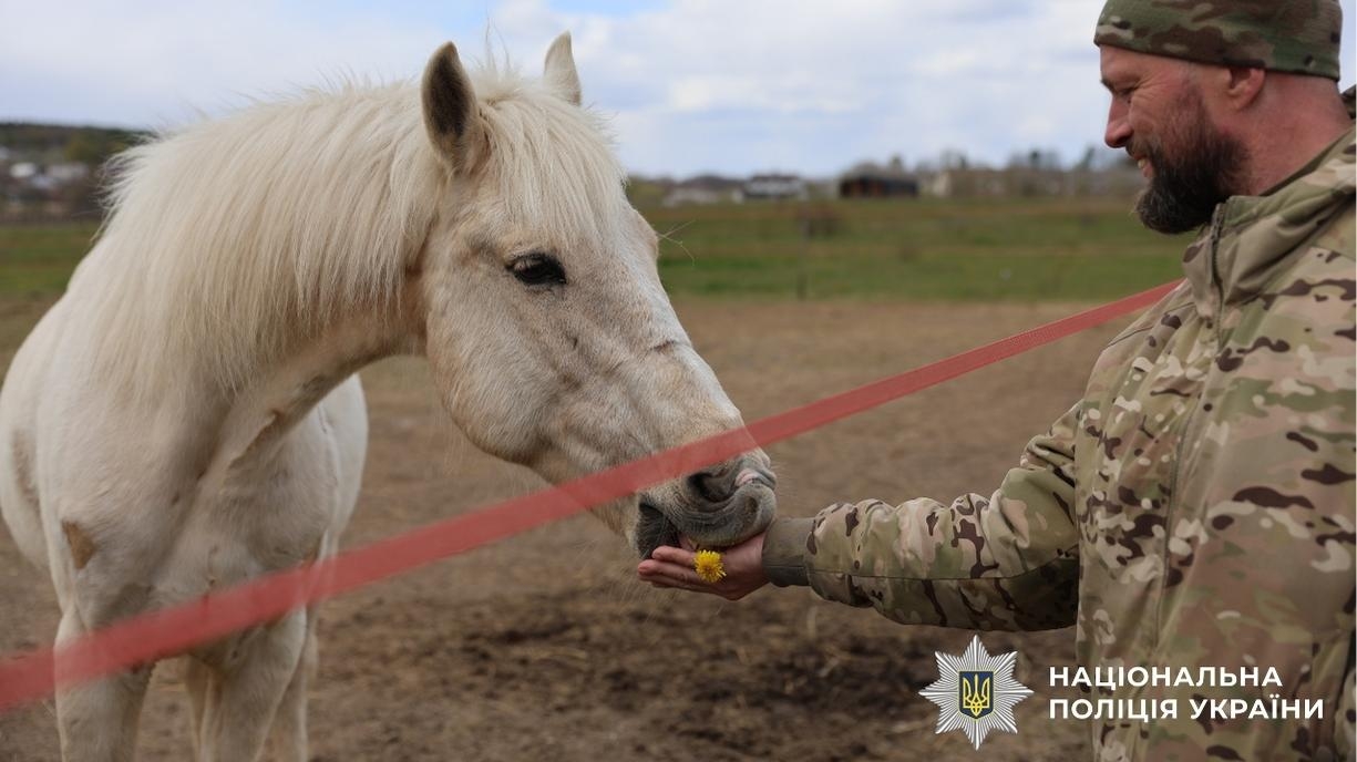 Вінницькі психологи поліції провели унікальний сеанс іпотерапії для бійців