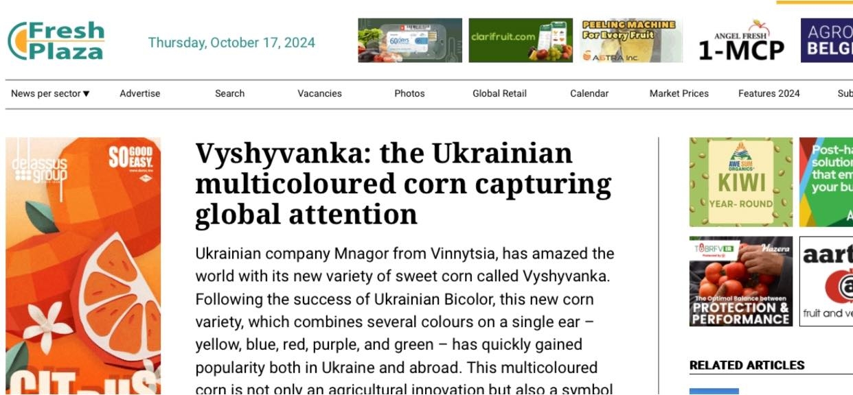 Вінницька “кукурудзяна вишиванка” підкорює світ — у Нідерландах звернули увагу на інноваційні сорти