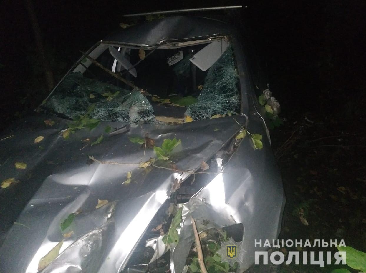 В Козятинському районі дерево впало на автомобіль, водій загинув