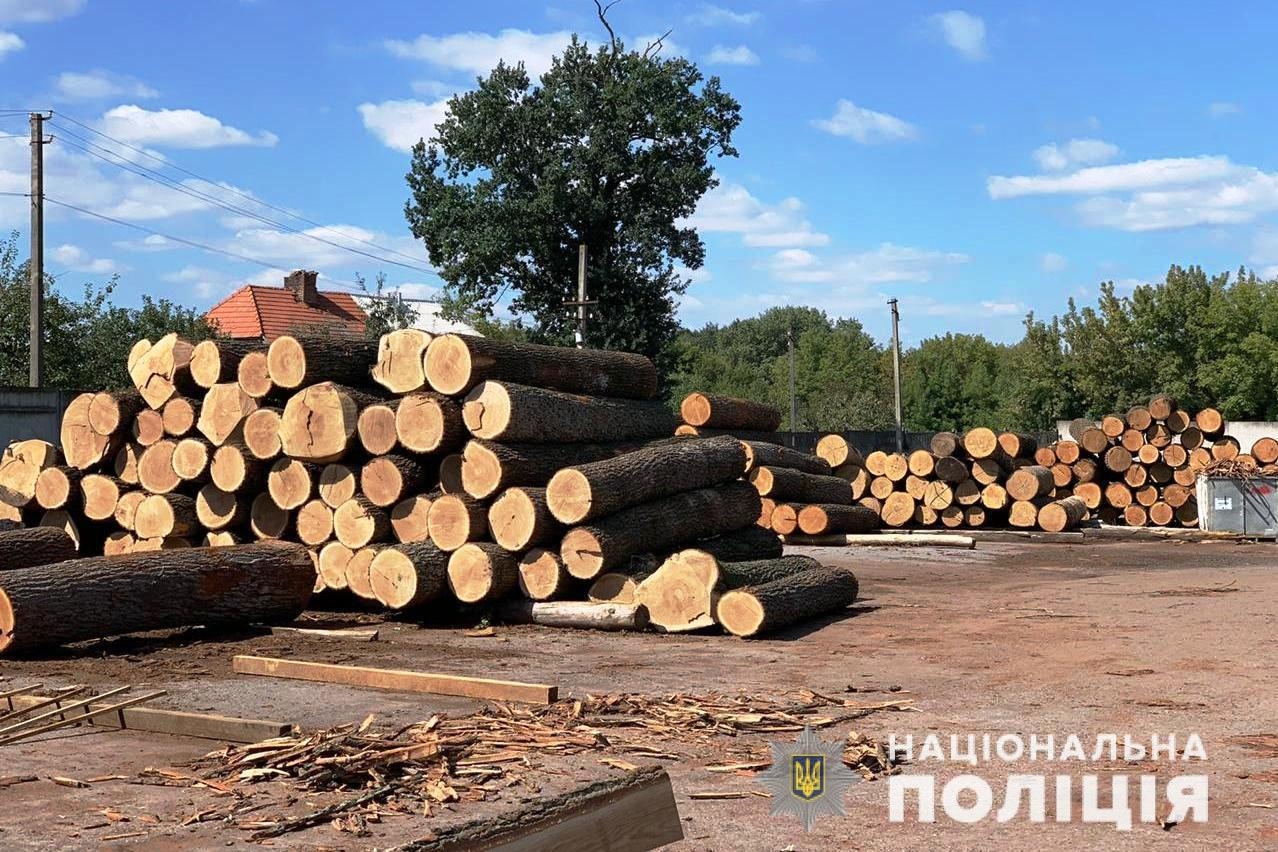 Справу посадовців дерпідприємства, які організували вирубку дерев цінних порід на території Міноборони, передали до суду