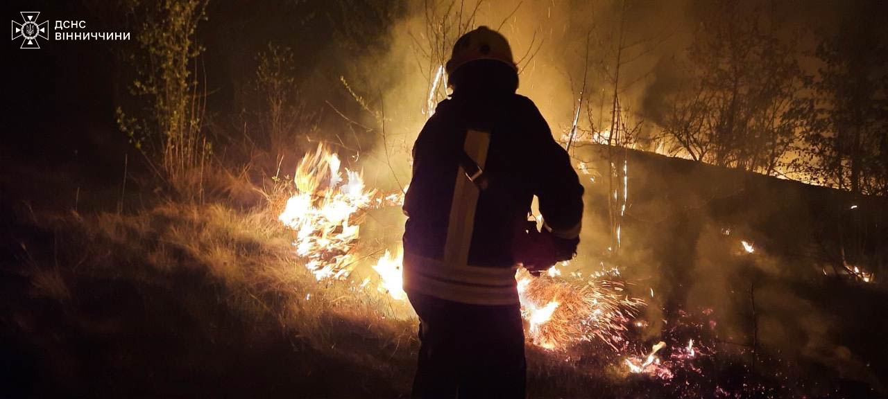 За добу на Вінниччині загасили 23 пожежі в екосистемах