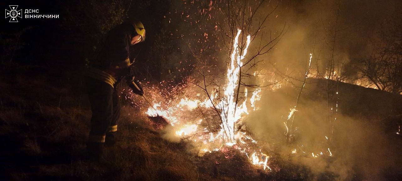 За добу на Вінниччині загасили 23 пожежі в екосистемах