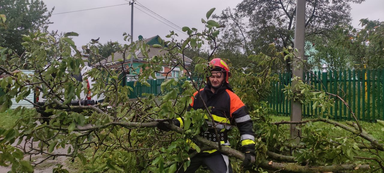 На Вінниччині вирувала негода: вітер повалив десятки дерев | ВІТА