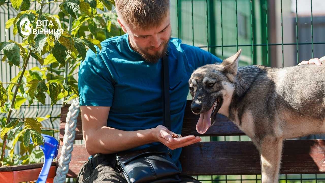 «Хвостатий оберіг»: у Вінниці поранені бійці гуляють із собаками з притулку