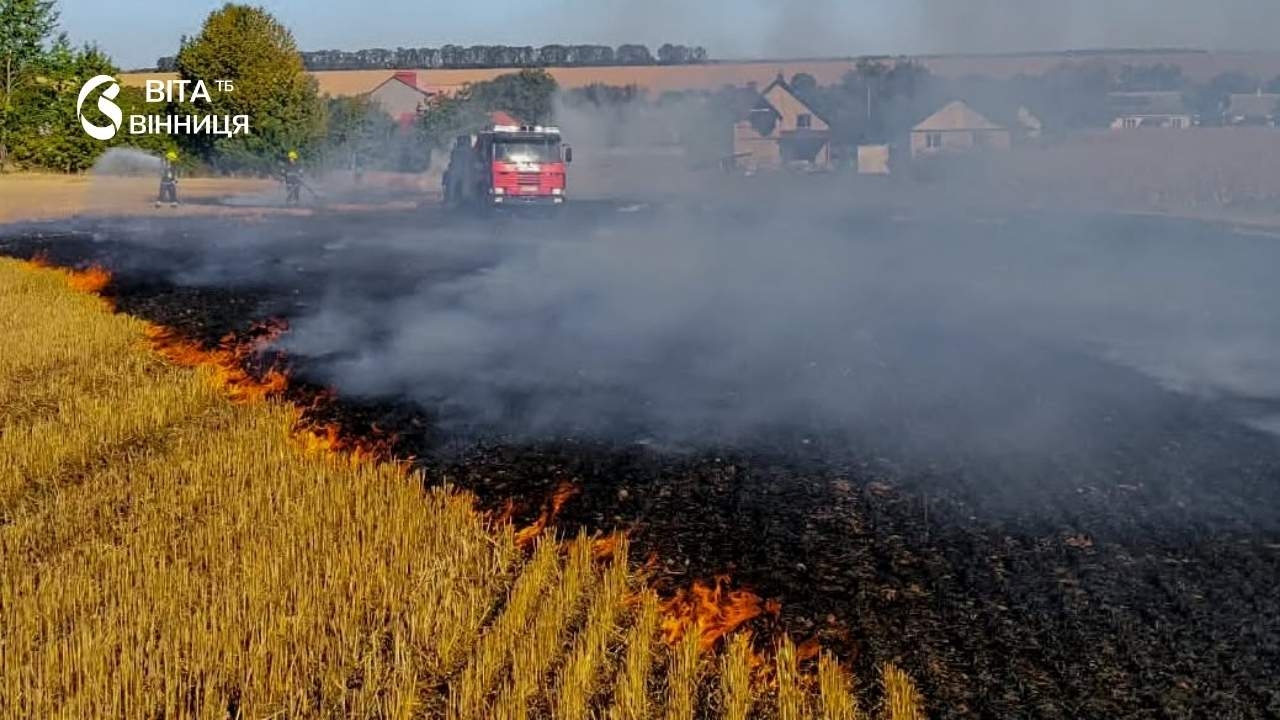13 пожеж за добу: на Вінниччині горіли екосистеми в усіх районах