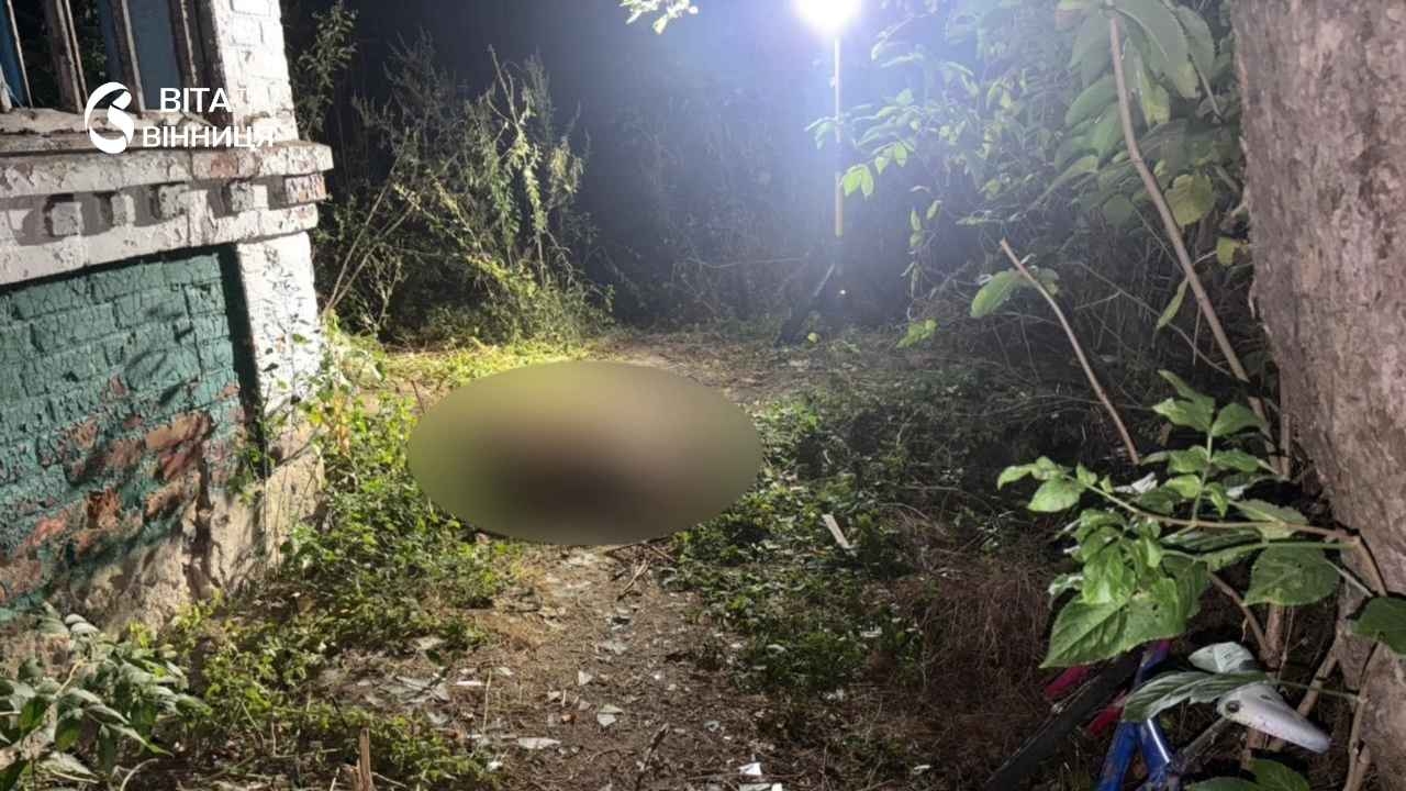 19-річний зізнався у вбивстві, 31-річний у розшуку: що відомо про різанину на подвір'ї в Тульчинському районі