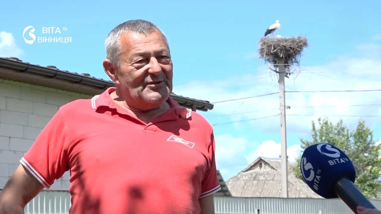 22 роки пліч-о-пліч: неймовірна дружба вінницької родини з лелеками