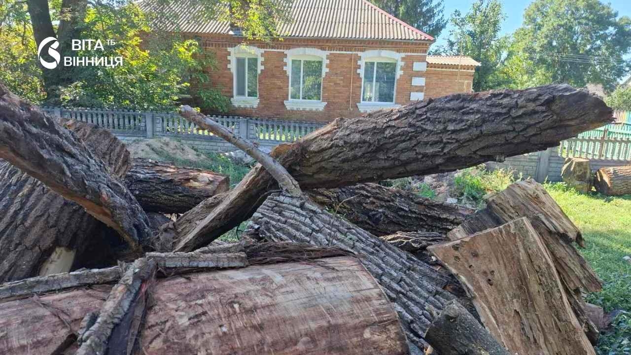 Безкоштовні дрова для родин ветеранів і загиблого Героя: як на Калинівщині запасаються паливом